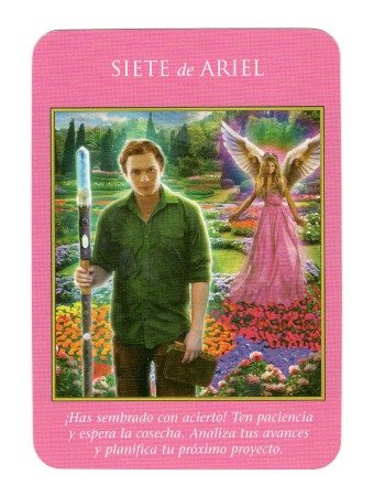 siete de ariel